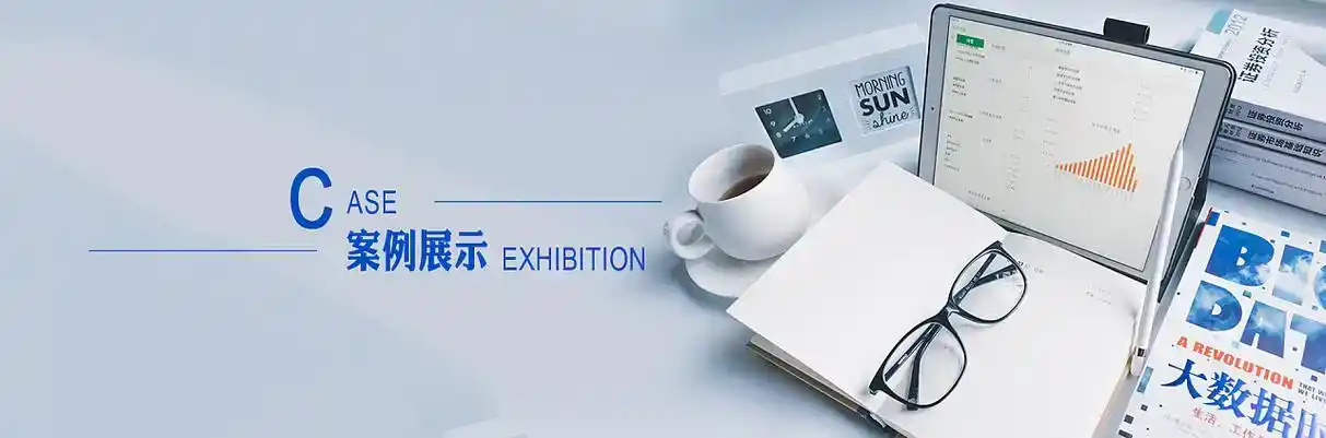 秦皇岛软件开发